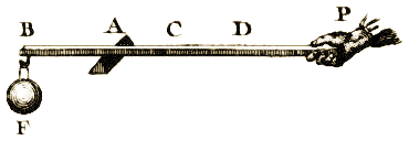 Planche I, Figure 1.