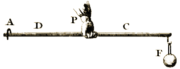 Planche I, Figure 3.