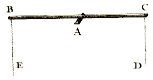 Planche I, Figure 7.