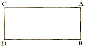 Planche II, Figure 21.