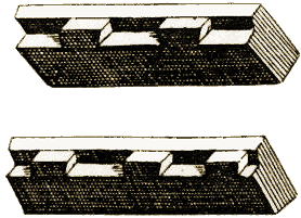 Planche II, Figure 40.