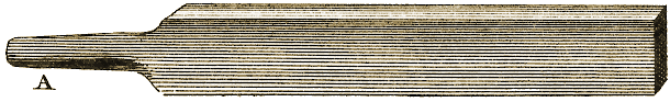 Planche III, Figure 7.