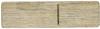Planche III, Figure 19.