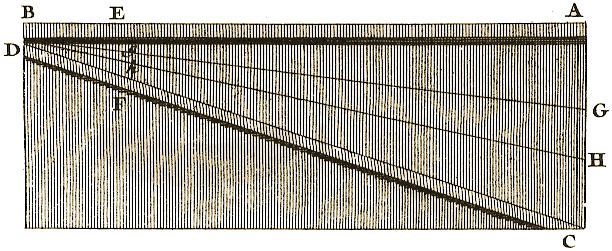 Planche IV, Figure 24.