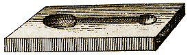 Planche V, Figure 45.