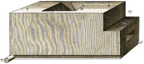 Planche X, Figure 77.