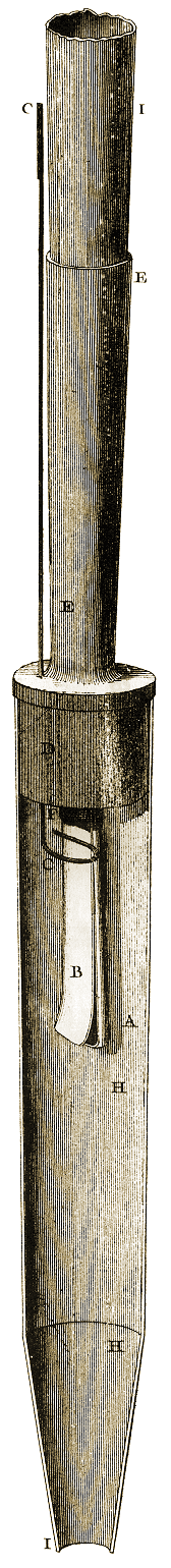 Planche XVIII, Figure 125.
